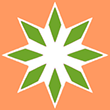 Graphic of 8-pronged white star with a green rhombus in each tip on orange background.
