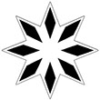 8-pronged white star with a black rhombus in each tip. 