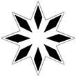 8-pronged white star with a black rhombus in each tip. 